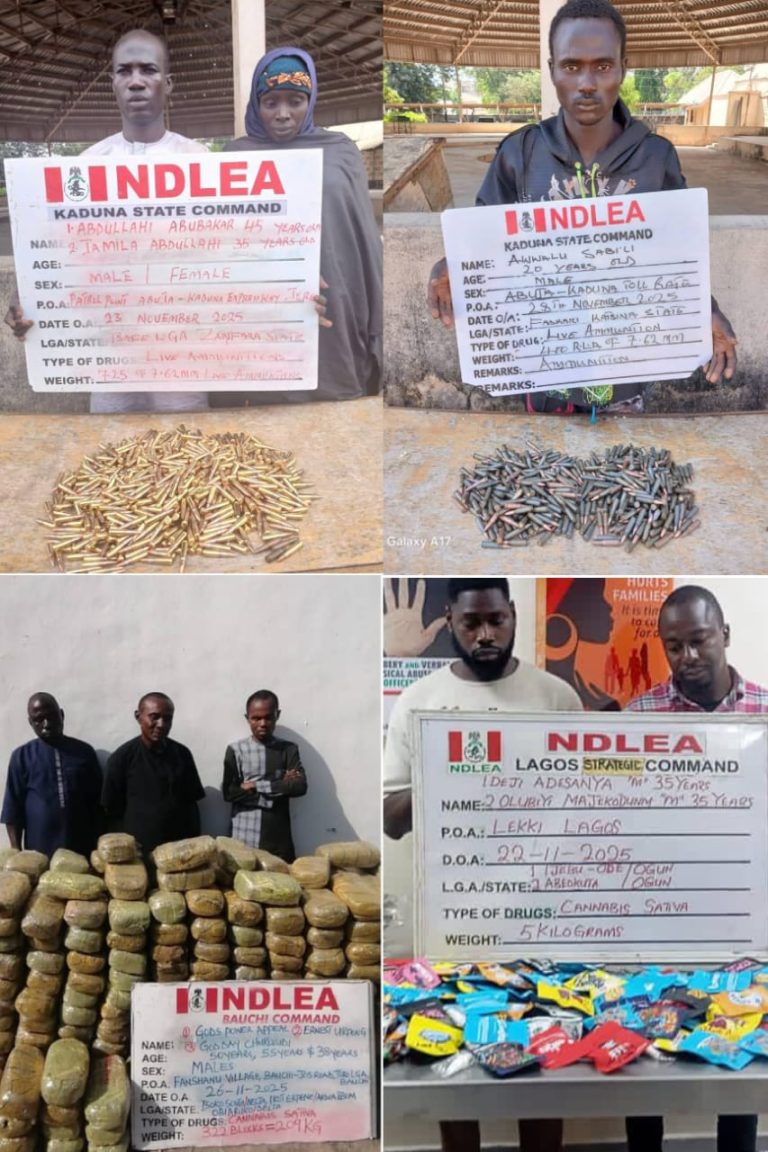 NDLEA Busts Syndicate Packaging Drugs as Christmas Cookies, Recovers Live Ammunition in Kaduna