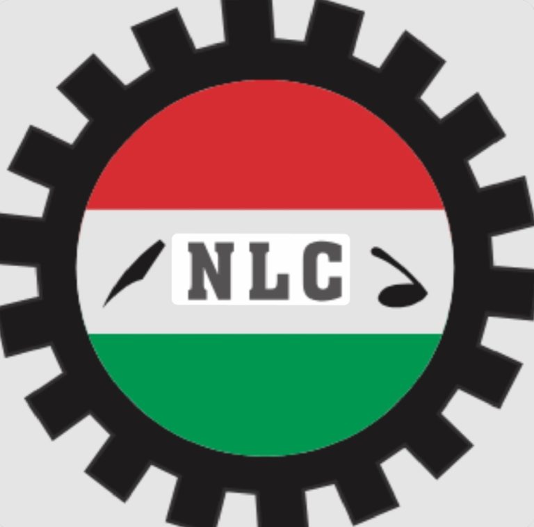 Labour Raises Alarm Over Senate’s Handling of Electoral Law Review