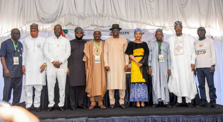 FG Unveils Plan to Turn Cashew into Major Export Earner, Create Jobs