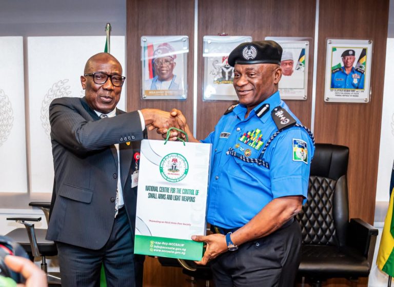 IGP Disu, Arms Control Centre Forge Stronger Partnership Against Illegal Arms